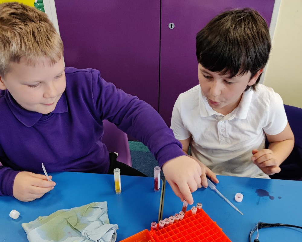 Pupils at Four Acres Academy mimicking PCR testing